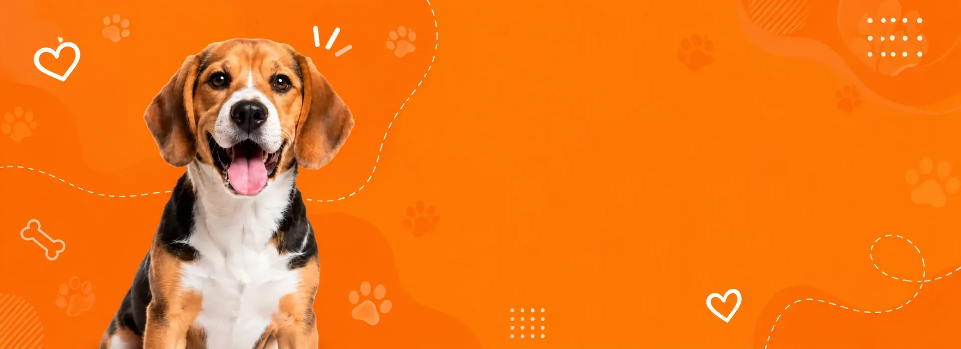 Pet Care