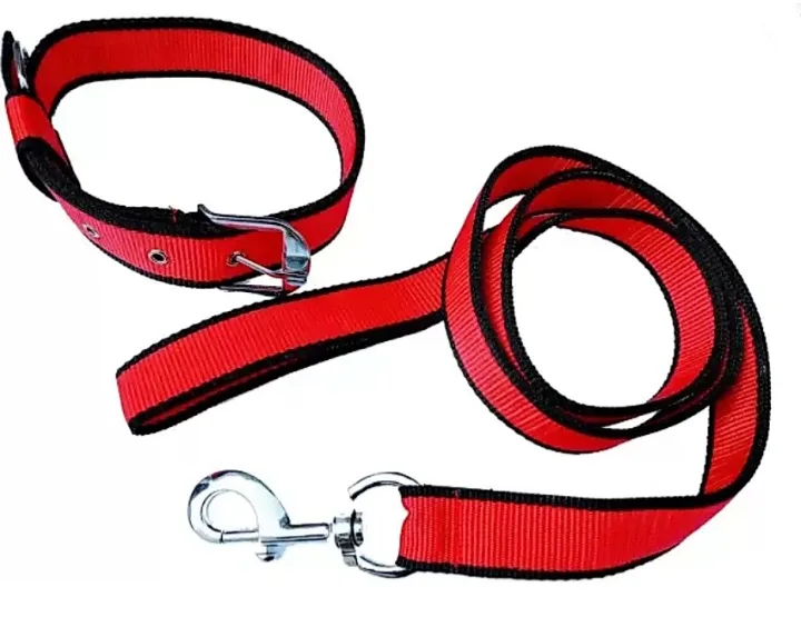Polypropylene Reflecting Collar with Leash