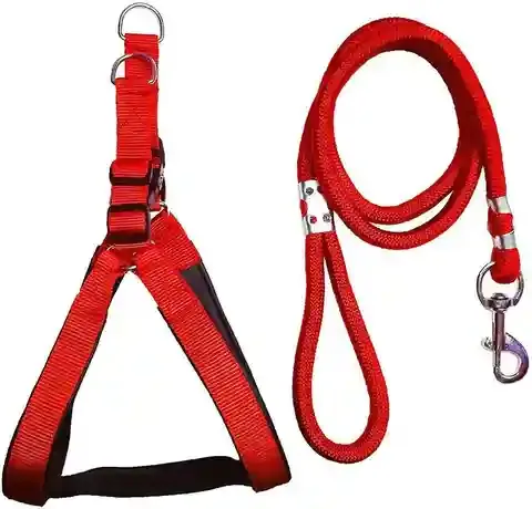 Nylon Harness with Leash