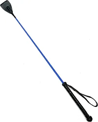Walking-Training Stick