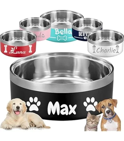 Bella Dog Bowl with Fixed Black Rubber Base