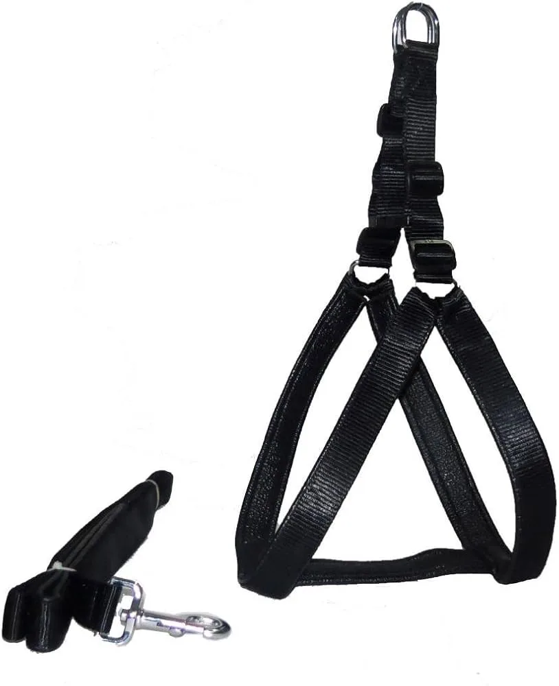 Nylon Harness with Leash