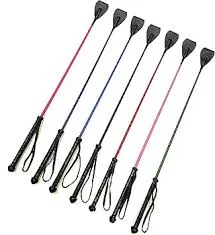 Walking-Training Stick