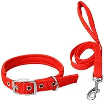 Polypropylene Reflecting Collar with Leash