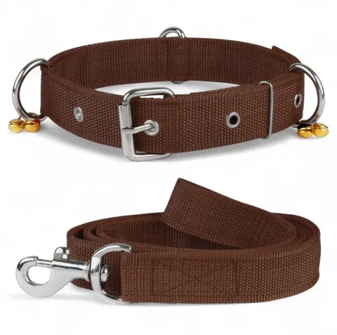 Nylon Collar with Leash