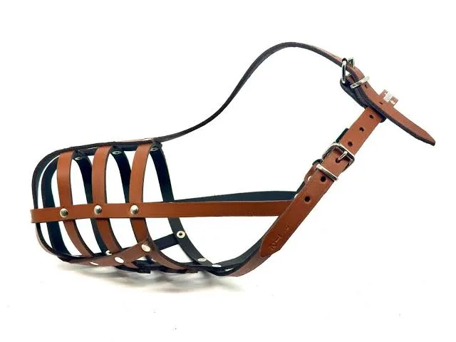 Leather Muzzle