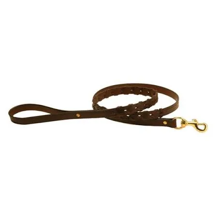 Leather Flat Leash with Brass Hook
