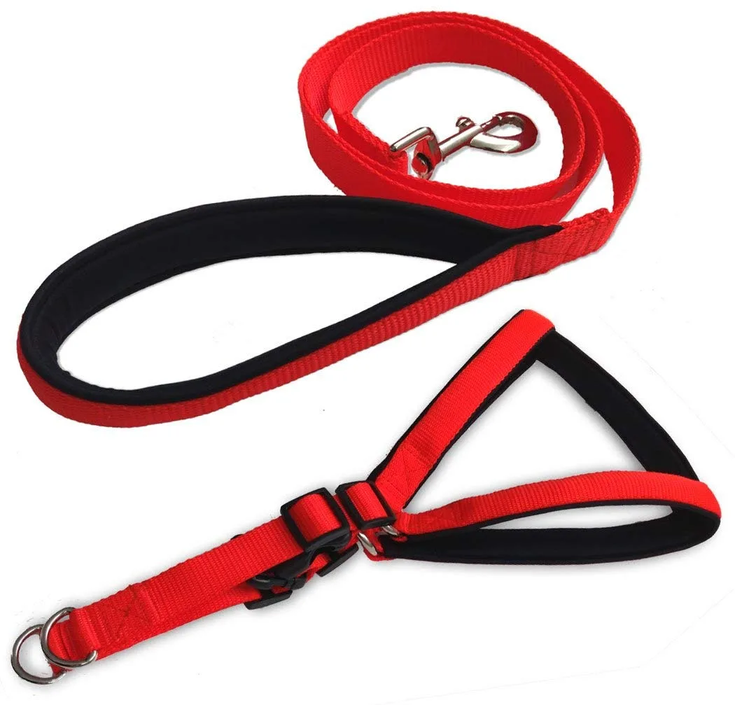 Polypropylene Harness with Leash