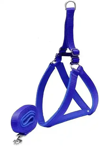 Nylon Harness with Leash