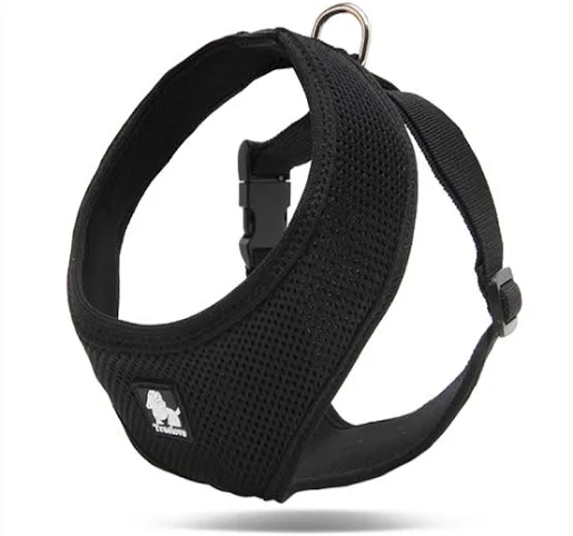 Harness